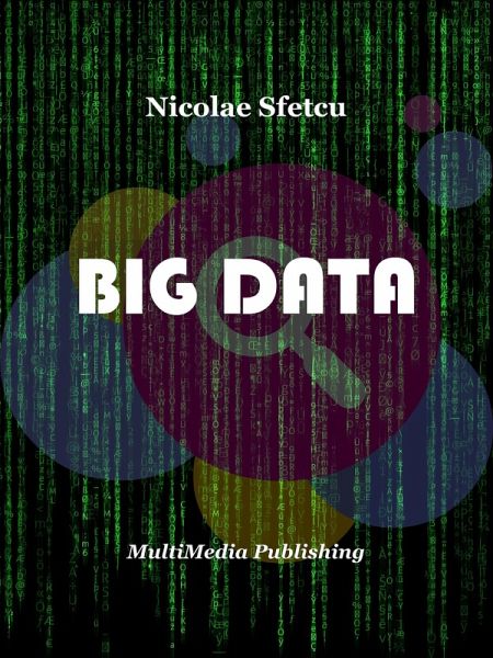 Big Data (eBook, ePUB)