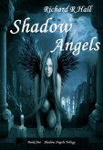 Shadow Angels (eBook, ePUB)