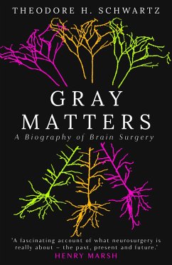 Gray Matters - Schwartz, Theodore