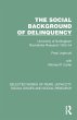The Social Background of Delinquency - Bild 1