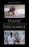 Static Discharge: The Hannah Chronicles (eBook, ePUB)