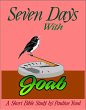 Seven Days with Joab (eBook, ePUB) - Bild 1