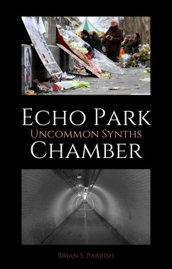 Cover Echo Park Chamber: Uncommon Synths (eBook, ePUB)