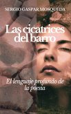 Las cicatrices del barro. Poemario (eBook, ePUB) Las cicatrices del barro. Poemario (eBook, ePUB)