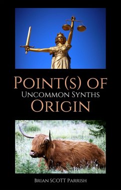 Cover Point(s) of Origin: Uncommon Synths (eBook, ePUB)