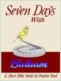 Seven Days with Balaam (eBook, ePUB)