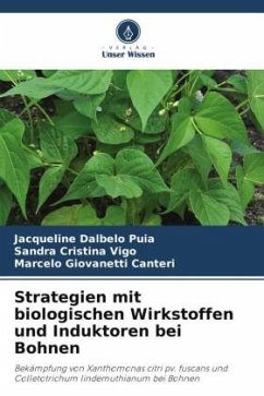 Strategien mit biologischen Wirkstoffen und Induktoren bei Bohnen - Dalbelo Puia, Jacqueline;Cristina Vigo, Sandra;Giovanetti Canteri, Marcelo