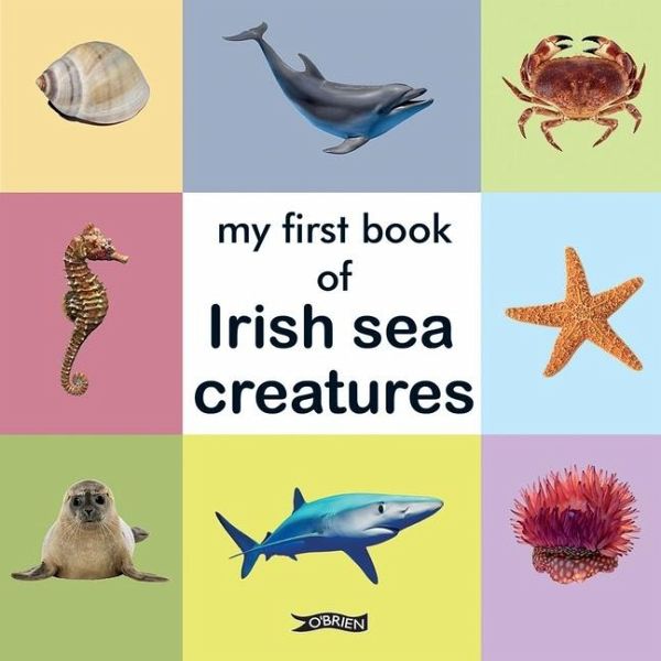 My First Book of Irish Sea Creatures My First Book of Irish Sea Creatures