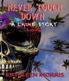 Never Touch Down (eBook, ePUB)