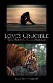 Love's Crucible: The Hannah Chronicles (eBook, ePUB) Love's Crucible: The Hannah Chronicles (eBook, ePUB)