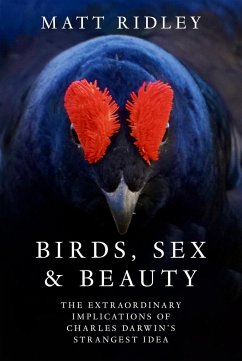 Cover Birds, Sex and Beauty