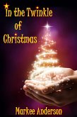 In the Twinkle of Christmas (eBook, ePUB)