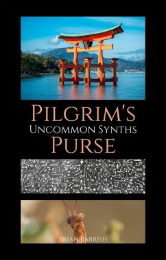Cover Pilgrim's Purse: Uncommon Synths (eBook, ePUB)
