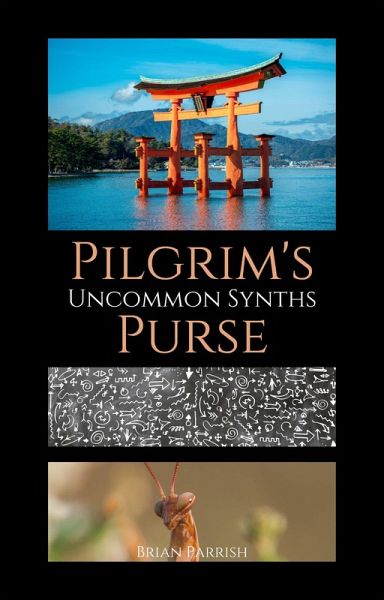 Pilgrim's Purse: Uncommon Synths (eBook, ePUB) Pilgrim's Purse: Uncommon Synths (eBook, ePUB)