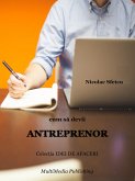 Cum sa devii antreprenor (eBook, ePUB)