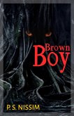 Brown Boy (eBook, ePUB)