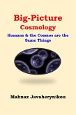 Big Picture Cosmology; Humans and the Cosmos Are the Same Things (eBook, ePUB)