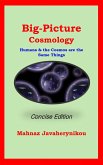 Big Picture Cosmology - Concise Edition (eBook, ePUB)