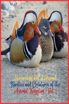 Surprising and unusual rarities and creatures of the Animal Kingdom. Vol. 1 (eBook, ePUB) - Camacho, Zoila