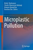 Microplastic Pollution (eBook, PDF)
