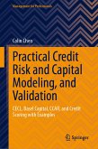 Practical Credit Risk and Capital Modeling, and Validation (eBook, PDF)
