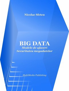 Big Data: Modele de afaceri - Securitatea megadatelor (eBook, ePUB) - Sfetcu, Nicolae
