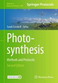 Photosynthesis (eBook, PDF)