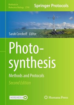 Photosynthesis (eBook, PDF)