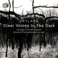 Clear Voices In The Dark - Skylark