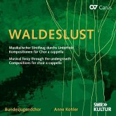 Waldeslust: Musikalischer Streifzug