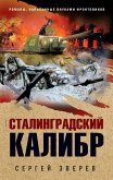 Сталинградский калибр (eBook, ePUB)