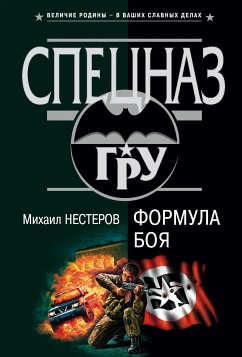 Формула боя (eBook, ePUB) - Нестеров, Михаил