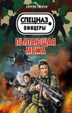 Десантура в Секторе Газа (eBook, ePUB)