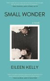 Small Wonder (eBook, ePUB)