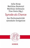 Synode als Chance (eBook, PDF)
