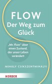 Flow - der Weg zum Glück (eBook, ePUB)