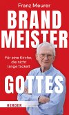 Brandmeister Gottes (eBook, ePUB)