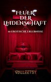 Feuer der Leidenschaft: 10 erotische Erlebnisse (eBook, ePUB) Feuer der Leidenschaft: 10 erotische Erlebnisse (eBook, ePUB)