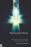 Meeting Spirit Beings (eBook, ePUB)