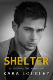 Shelter, A Billionaire Romance (eBook, ePUB)