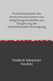 Funktionsweisen der Anreizmechanismen von Vergütungsmodellen zur Steigerung der Intersektoralen Versorgung