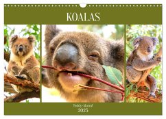 Koalas. Teddy-Alarm! (Wandkalender 2025 DIN A3 quer), CALVENDO Monatskalender - Calvendo;Hurley, Rose