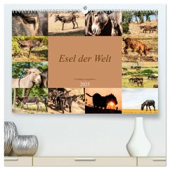 Esel der Welt - Lieblings Langohren (hochwertiger Premium Wandkalender 2025 DIN A2 quer), Kunstdruck in Hochglanz - Calvendo;Bölts, Meike
