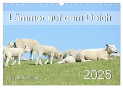 Lämmer auf dem Deich (Wandkalender 2025 DIN A3 quer), CALVENDO Monatskalender - Calvendo;Schubbel, Carola