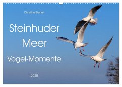 Steinhuder Meer, Vogel-Momente (Wandkalender 2025 DIN A2 quer), CALVENDO Monatskalender - Calvendo;Bienert, Christine