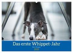 Das erste Whippet-Jahr (Wandkalender 2025 DIN A2 quer), CALVENDO Monatskalender