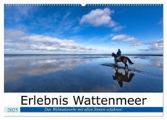 Erlebnis Wattenmeer (Wandkalender 2025 DIN A2 quer), CALVENDO Monatskalender