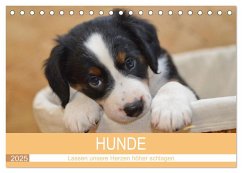 HUNDE - Lassen unsere Herzen höher schlagen (Tischkalender 2025 DIN A5 quer), CALVENDO Monatskalender - Calvendo;Hampe-Neves, Sabine