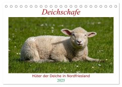 Deichschafe - Hüter der Deiche in Nordfriesland (Tischkalender 2025 DIN A5 quer), CALVENDO Monatskalender - Calvendo;Falke, Manuela