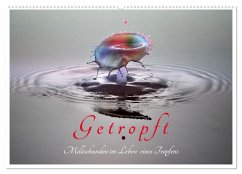 Getropft (Wandkalender 2025 DIN A2 quer), CALVENDO Monatskalender